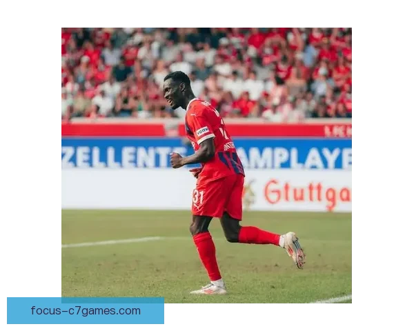 海登海姆俱乐部：德甲新兴力量的崛起与发展历程